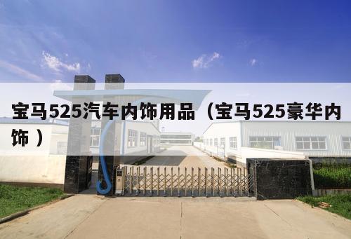 寶馬525汽車內(nèi)飾用品(寶馬525豪華內(nèi)飾 )