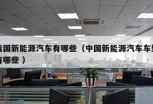 我國(guó)新能源汽車有哪些（中國(guó)新能源汽車車型有哪些 ）