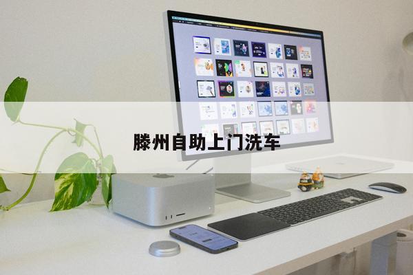 滕州自助上門洗車