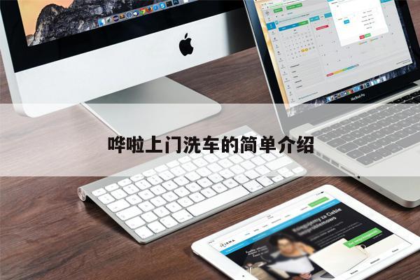 嘩啦上門(mén)洗車(chē)的簡(jiǎn)單介紹