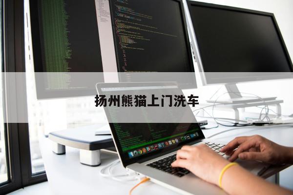 揚州熊貓上門洗車